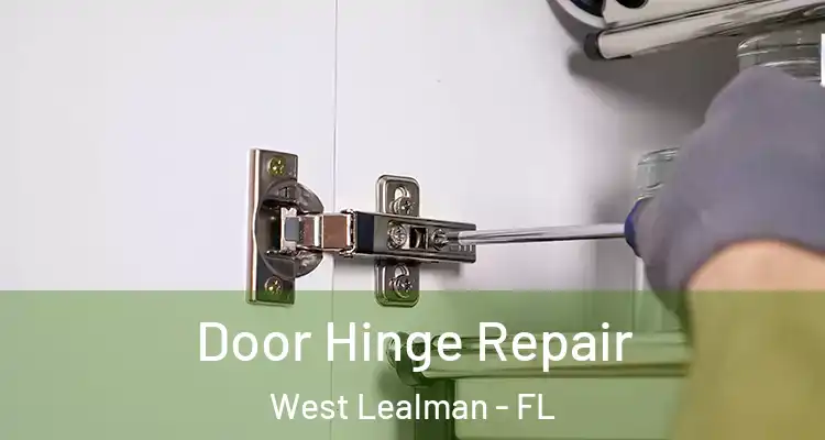  Door Hinge Repair West Lealman - FL