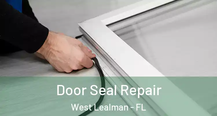  Door Seal Repair West Lealman - FL