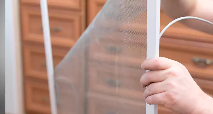 Privacy Mesh Screen Door Installation in West Lealman, FL