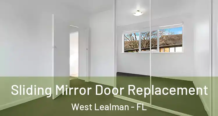  Sliding Mirror Door Replacement West Lealman - FL