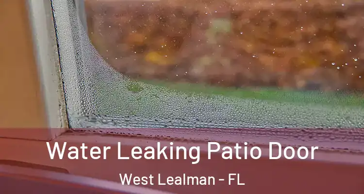  Water Leaking Patio Door West Lealman - FL